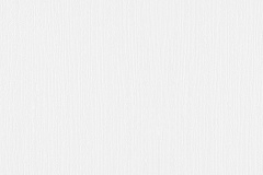 white paper texture